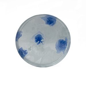 PLATO POSTRE VIDRIO / 1456-2 / FS006