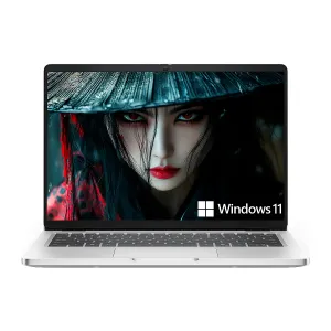 LAPTOP DELL Pro Silver