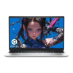 LAPTOP DELL INSPIRON BT UBUNTU Silver