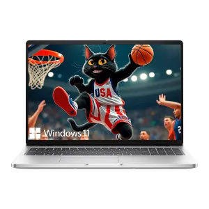 LAPTOP DELL Pro Silver